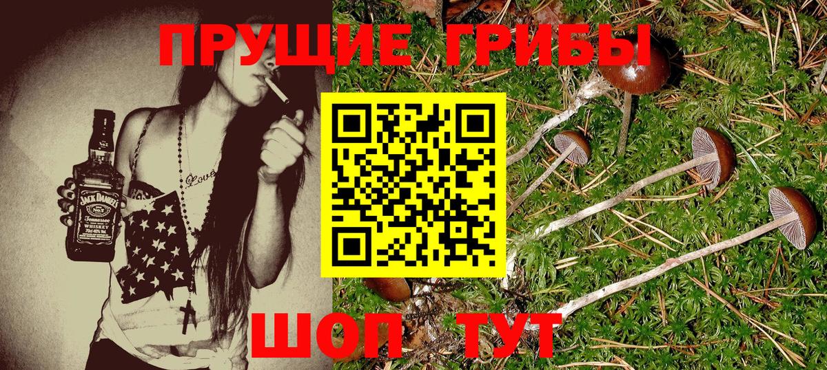 Псилоцибиновые грибы ЛСД  Вход с VPN  дарнет шоп  Кохма  Галлюциногенные грибы Psilocybe 